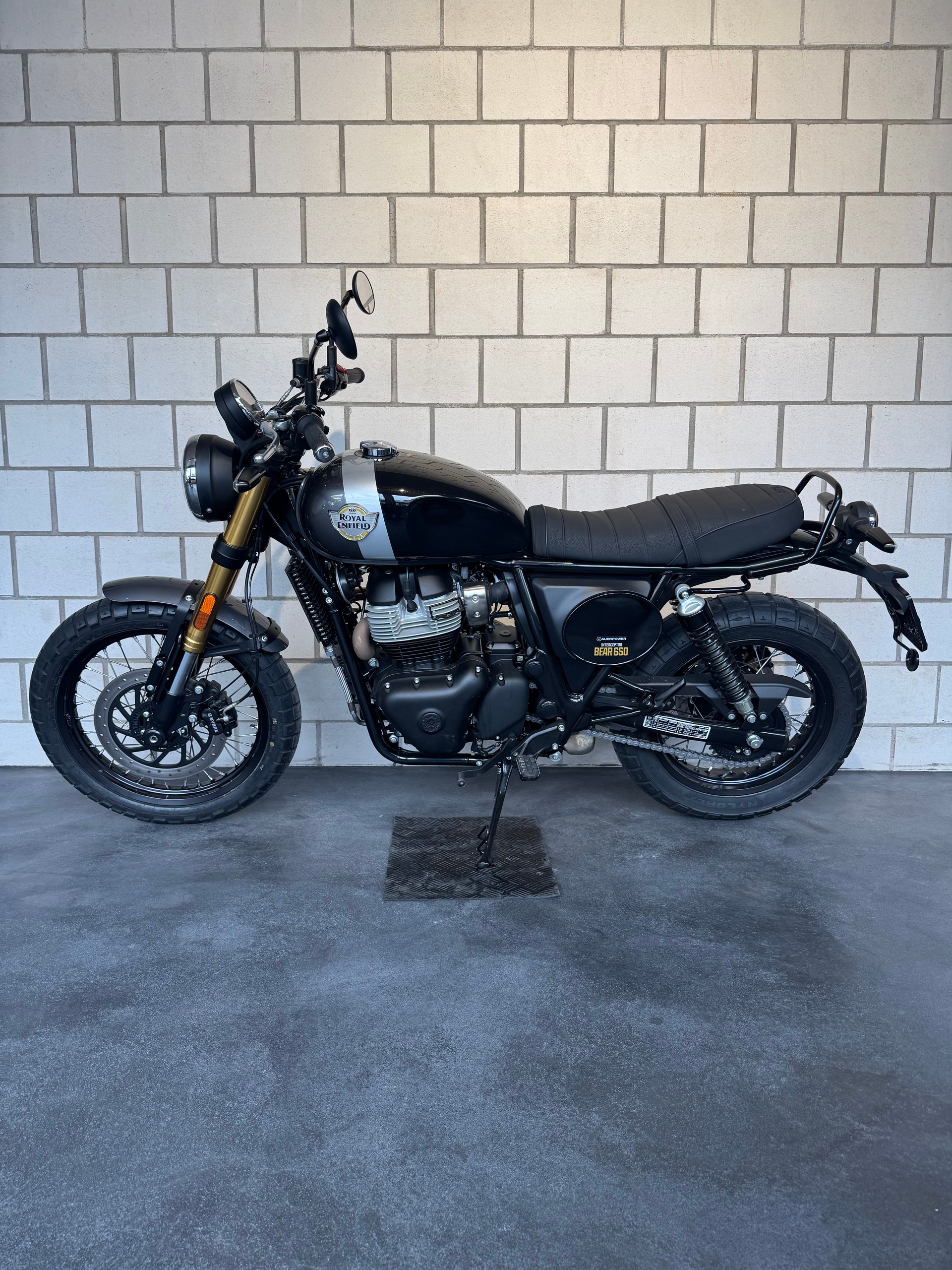 ROYAL ENFIELD Bear 650-image-1