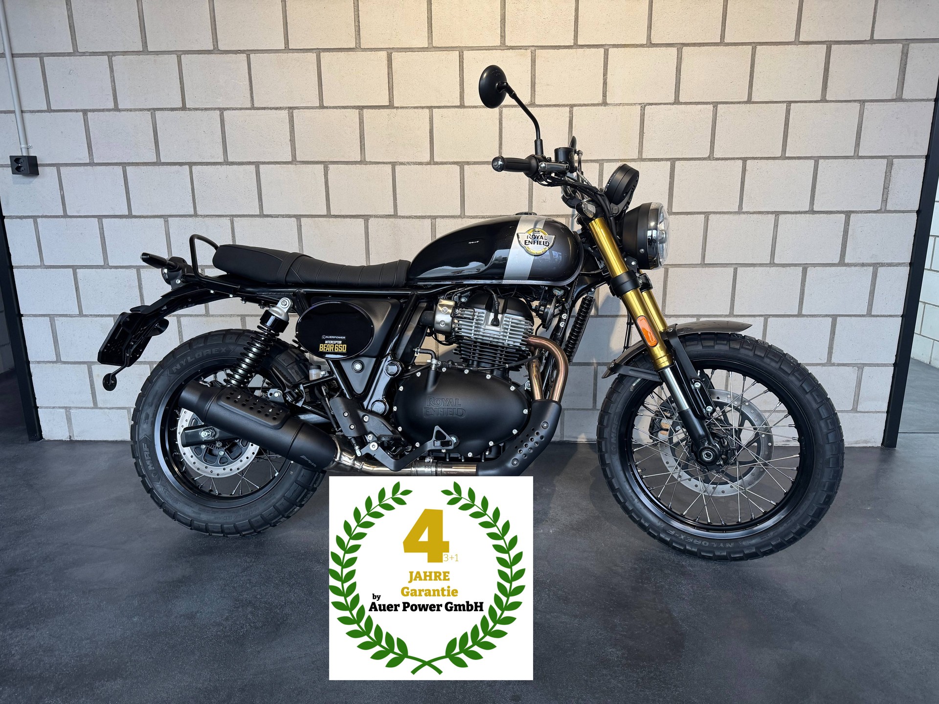 ROYAL ENFIELD Bear 650-image-0
