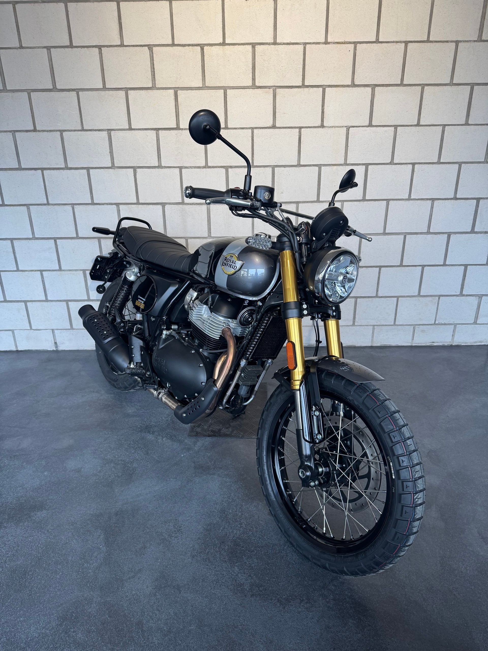 ROYAL ENFIELD Bear 650-image-3