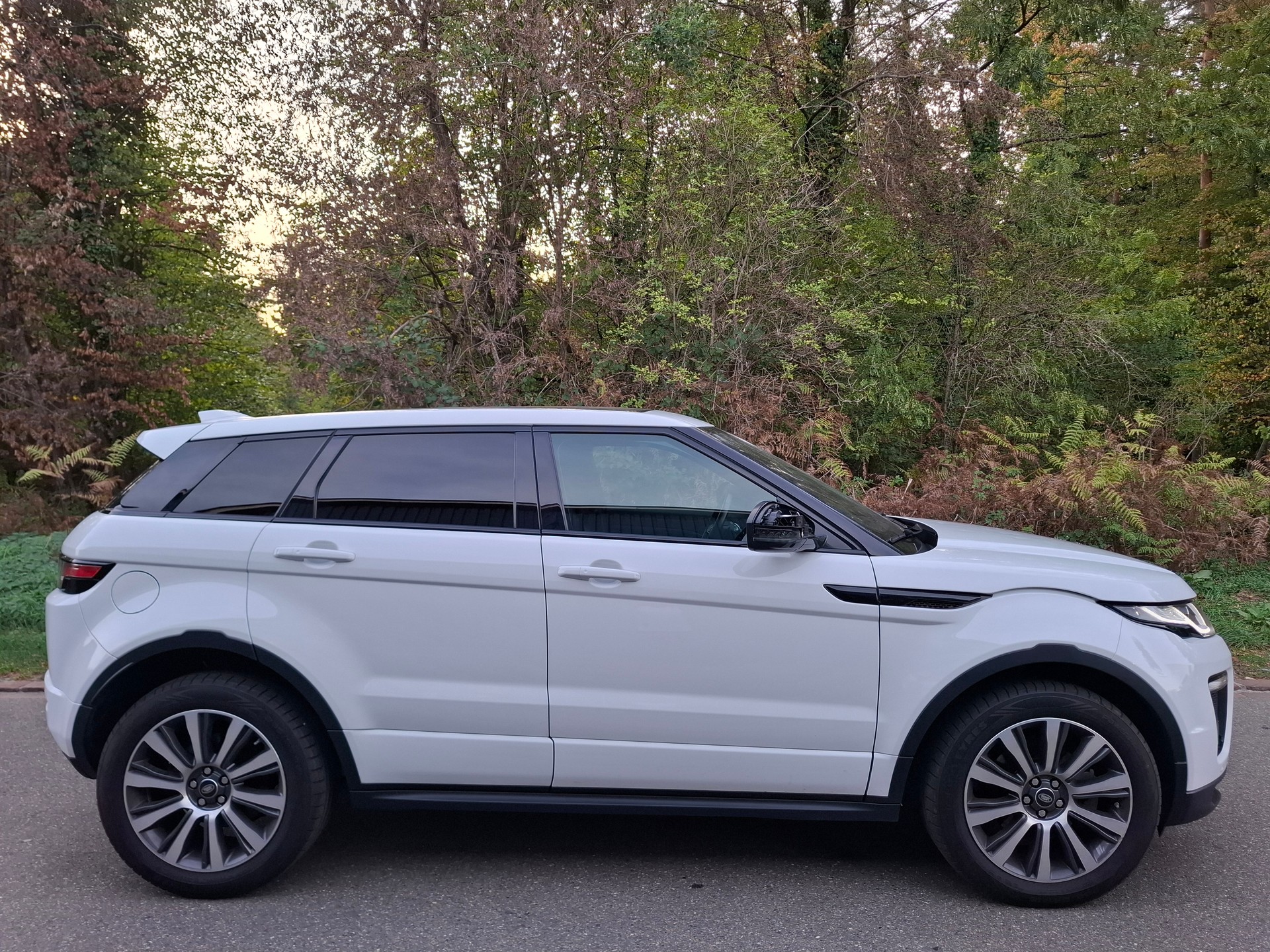 LAND ROVER Range Rover Evoque 2.0 Si4 HSE Dynamic AT9-showroom-element-1