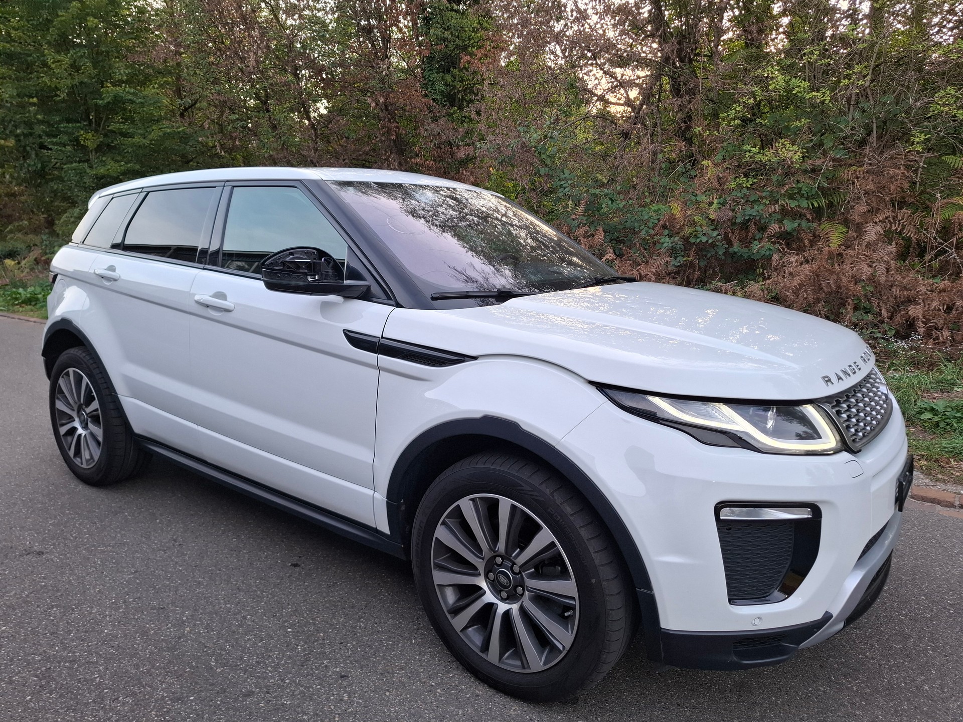LAND ROVER Range Rover Evoque 2.0 Si4 HSE Dynamic AT9-showroom-element-3