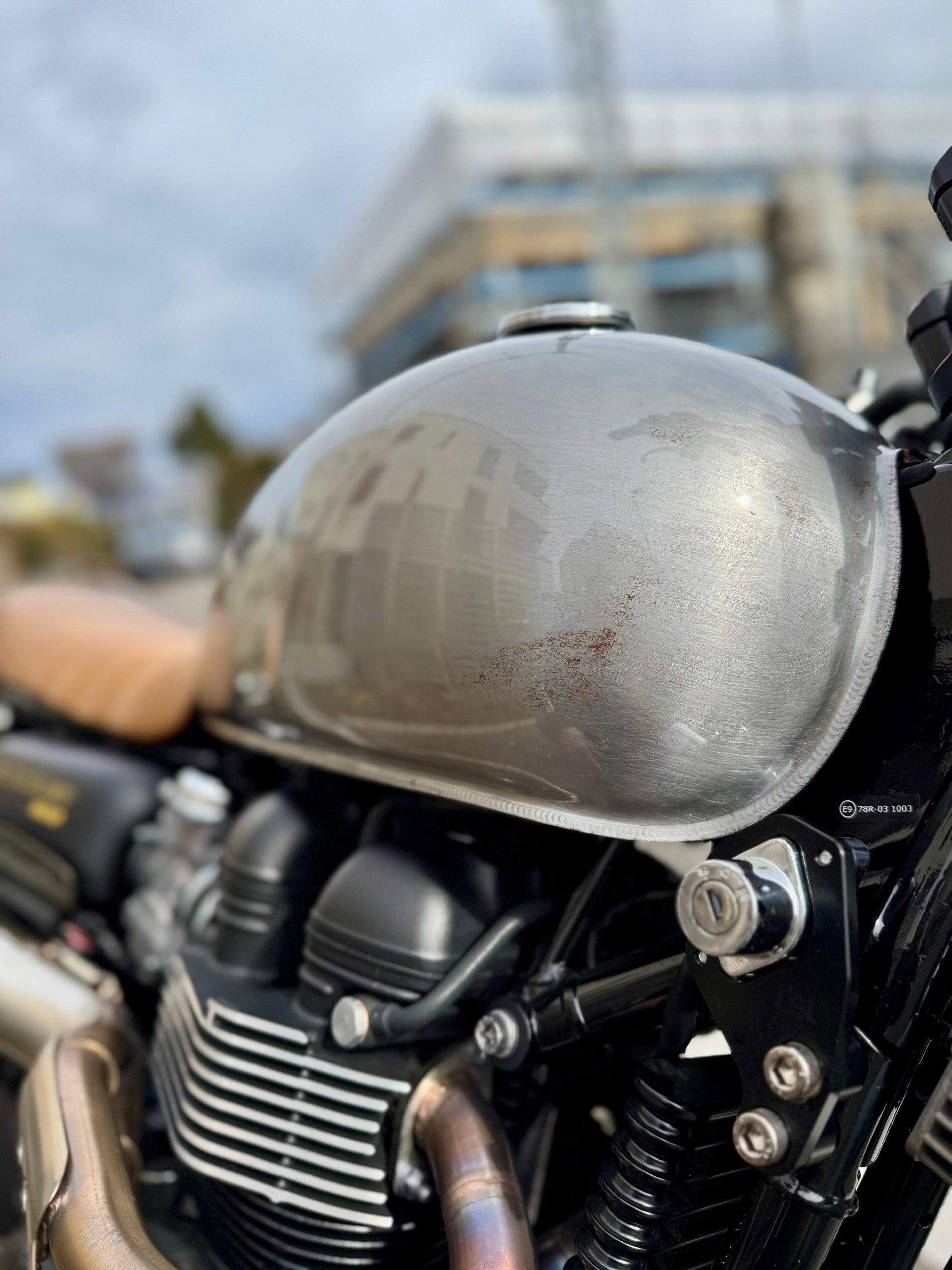 TRIUMPH Scrambler 900-image-3