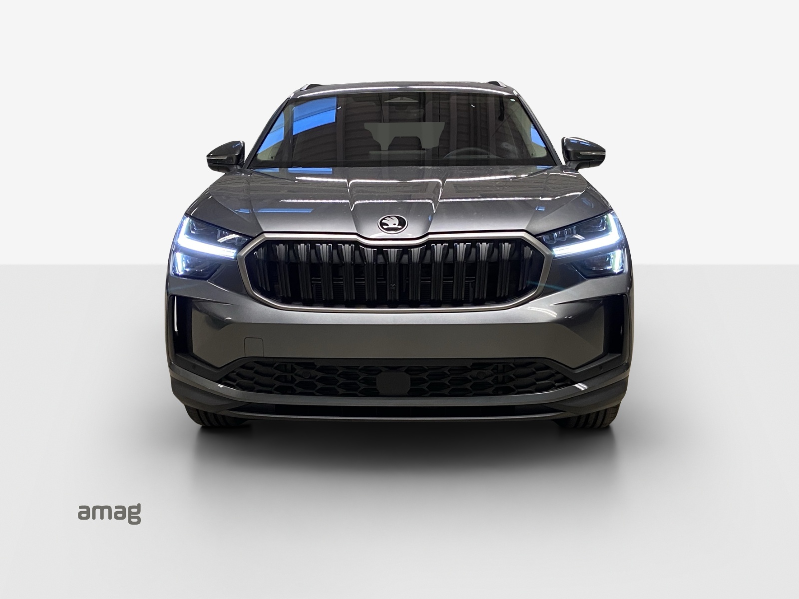SKODA Kodiaq 2.0 TSI Dynamic 4x4-image-6