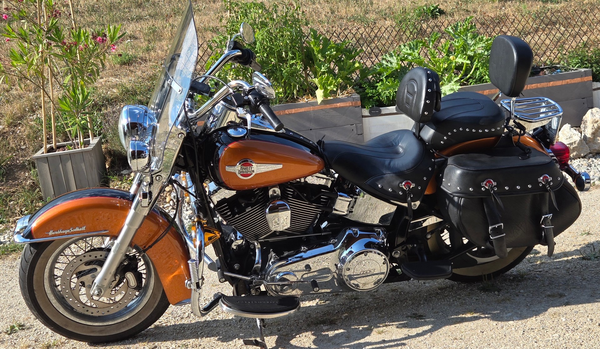 HARLEY-DAVIDSON FLSTC Softail Heritage Classic ABS-image-8