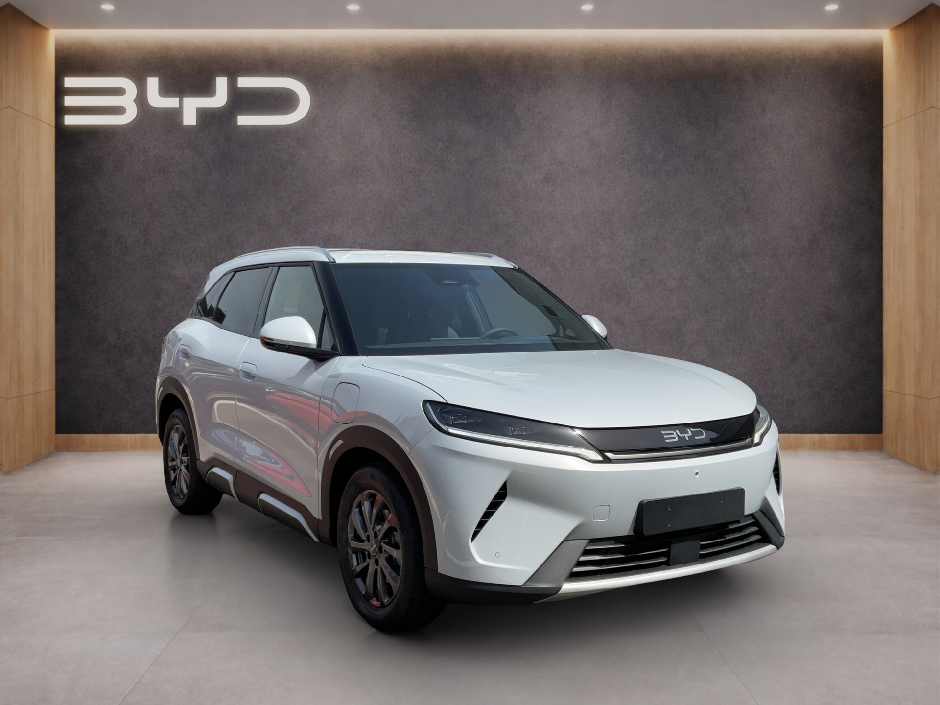 BYD Atto 2 DM-i Boost-image-7
