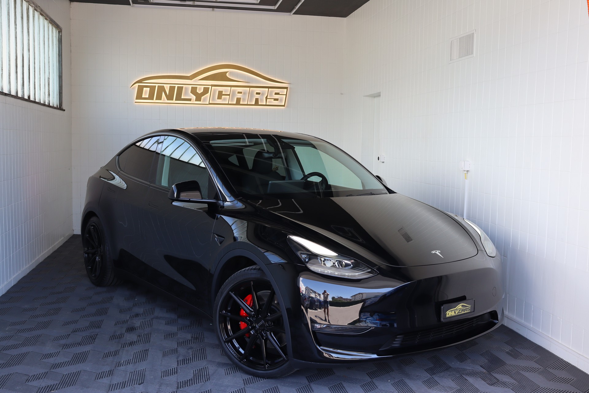 TESLA Model Y Performance