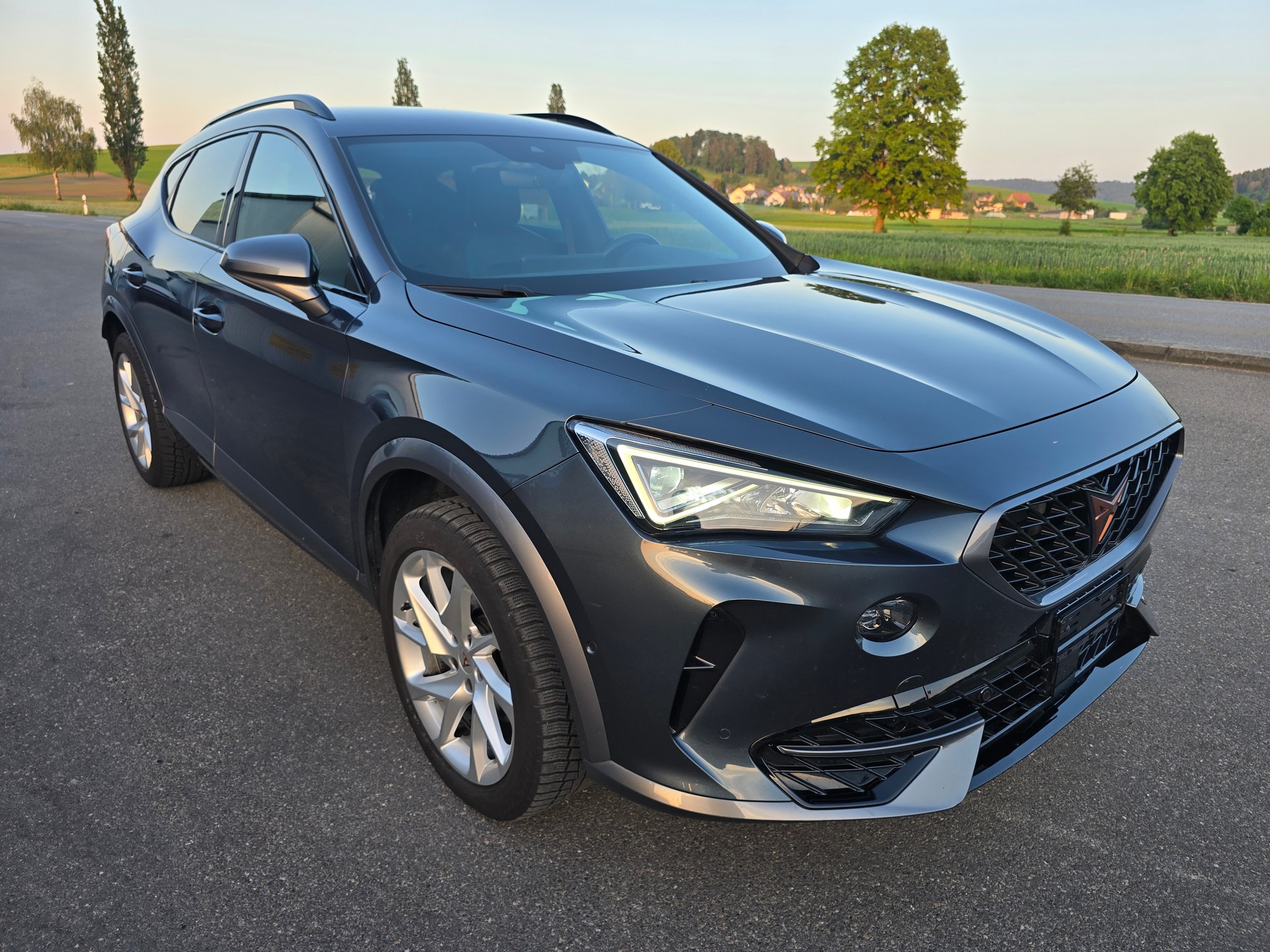 CUPRA Formentor 1.5 TSI Inicio DSG*TOP-ZUSTAND*Frsch ab MFK"Frisch ab Service*Anhängerkupplung-image-1