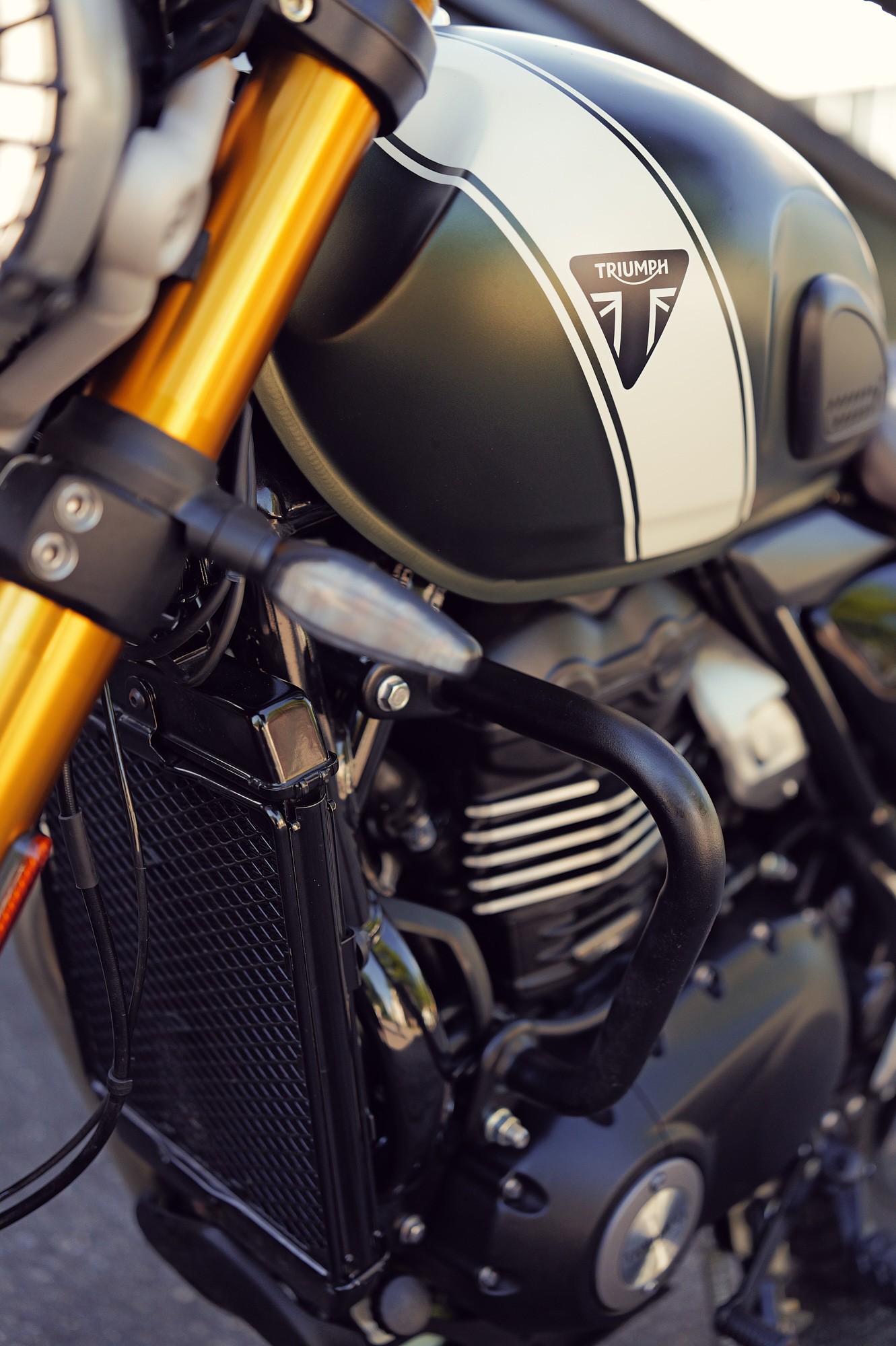 TRIUMPH Scrambler 400X-image-2