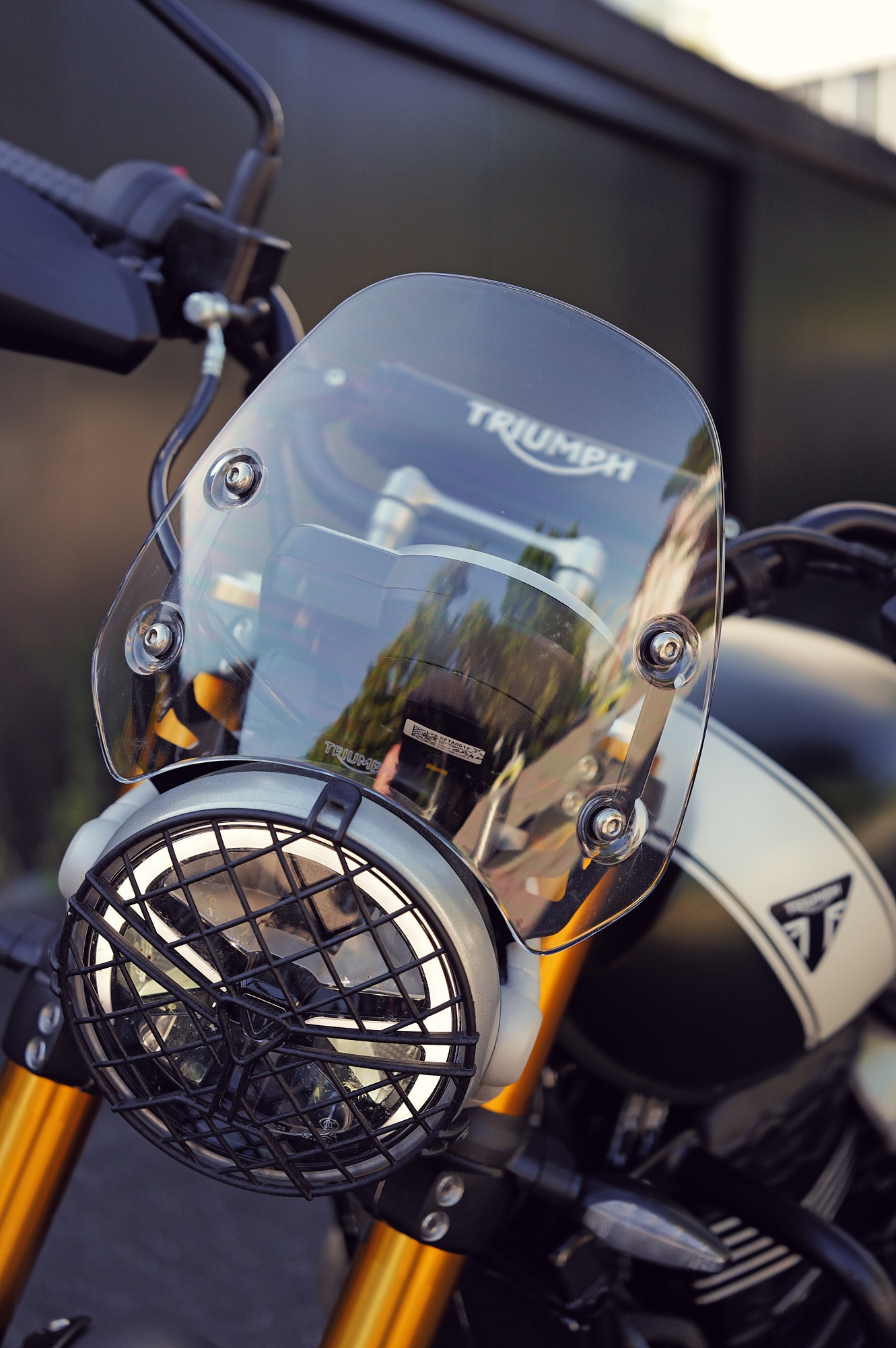 TRIUMPH Scrambler 400X-image-3