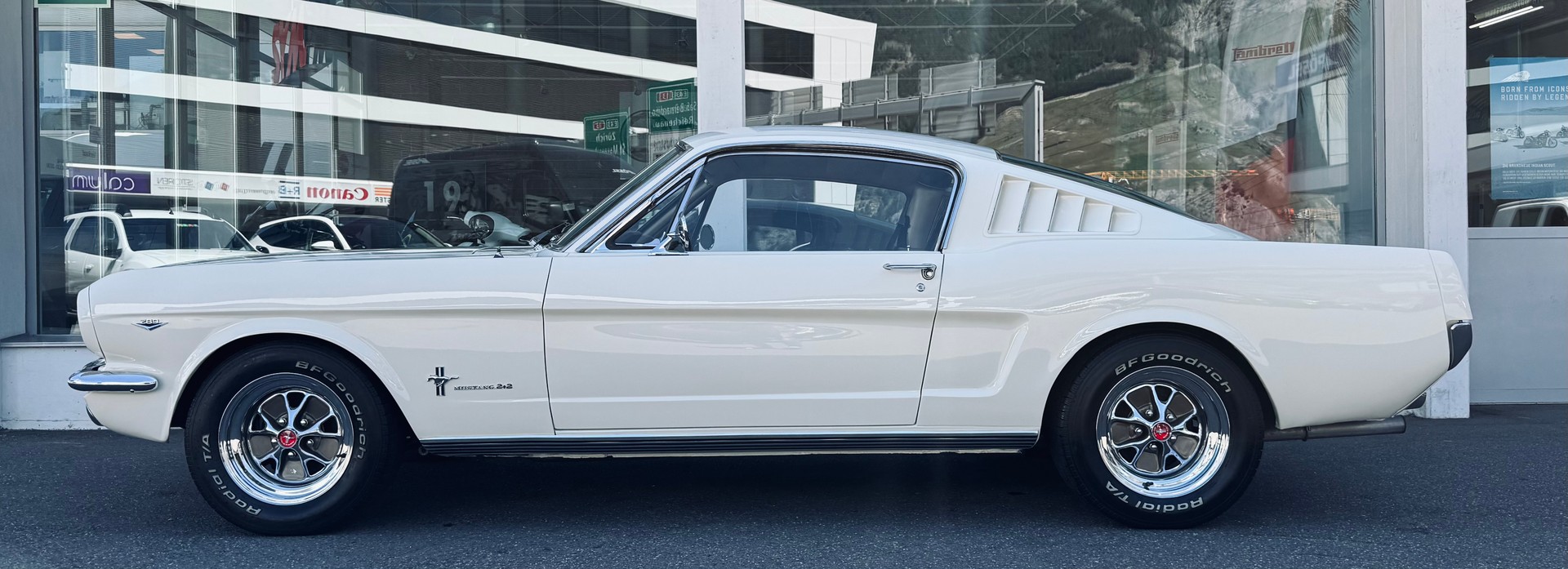 FORD V8 Fastback 302-showroom-element-2
