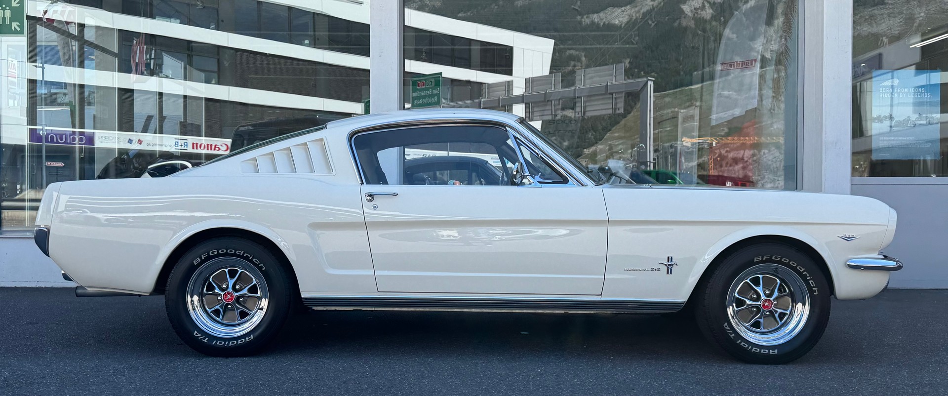 FORD V8 Fastback 302-showroom-element-1