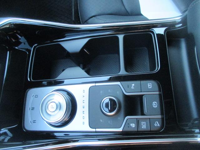 KIA Sorento 1.6 T-GDi Hybrid Power Edition 7P-image-11