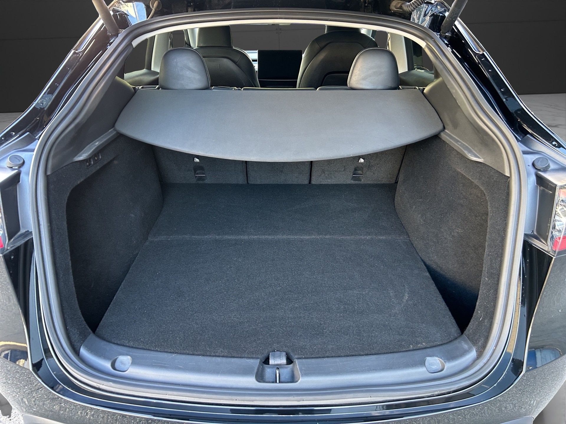 TESLA Model Y Performance / Enhanced Autopilot-image-12