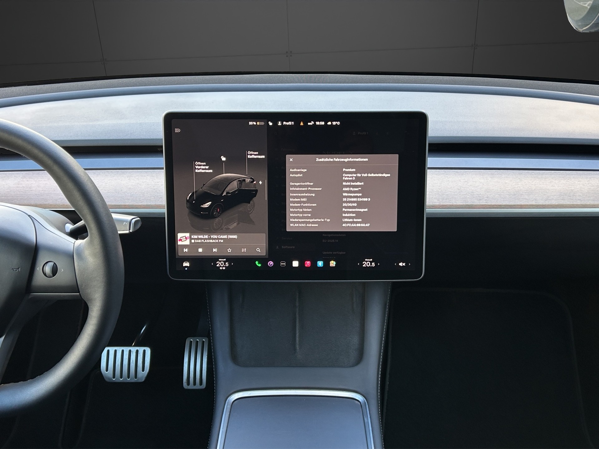 TESLA Model Y Performance / Enhanced Autopilot-image-8