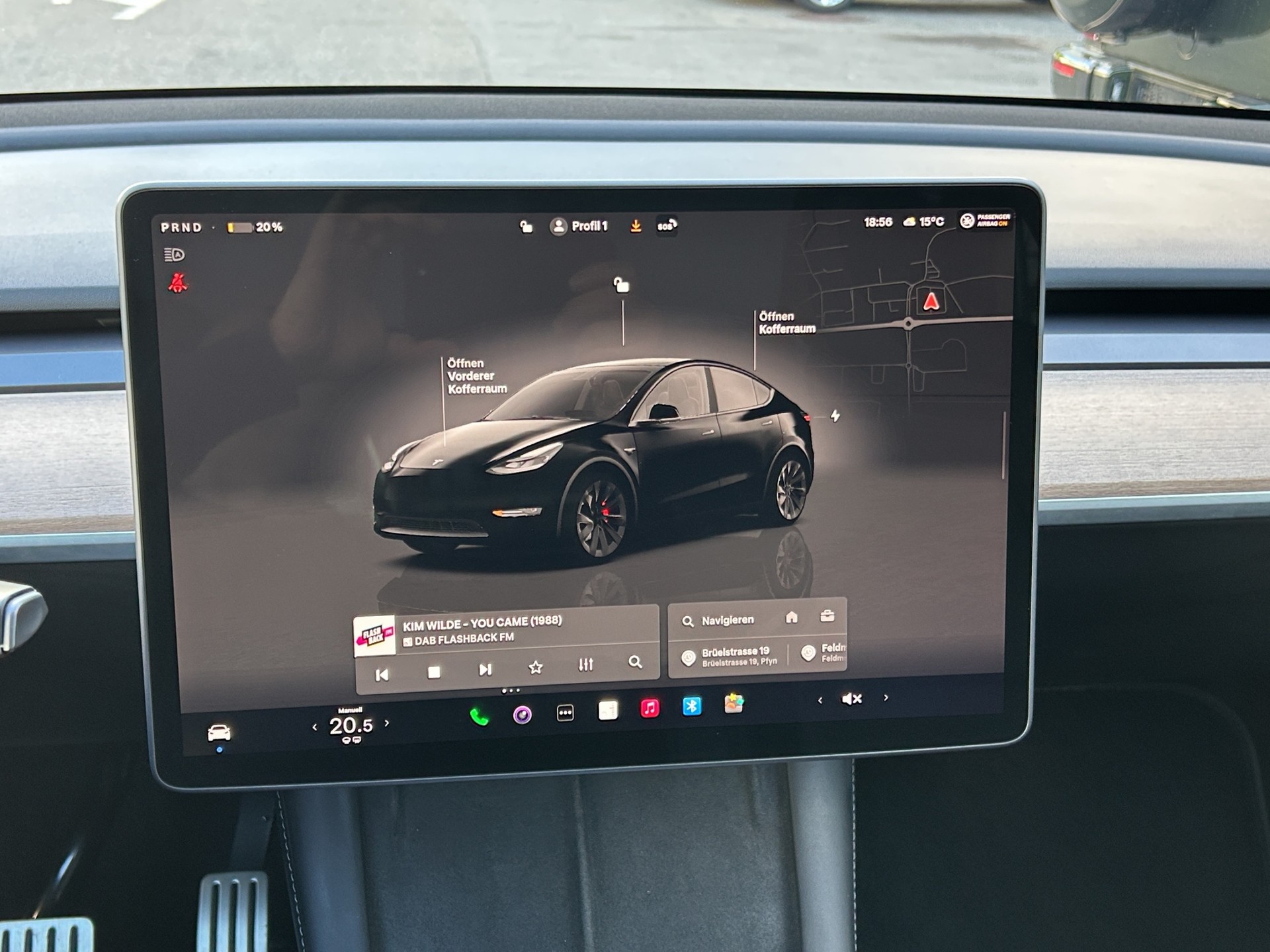 TESLA Model Y Performance / Enhanced Autopilot-image-10