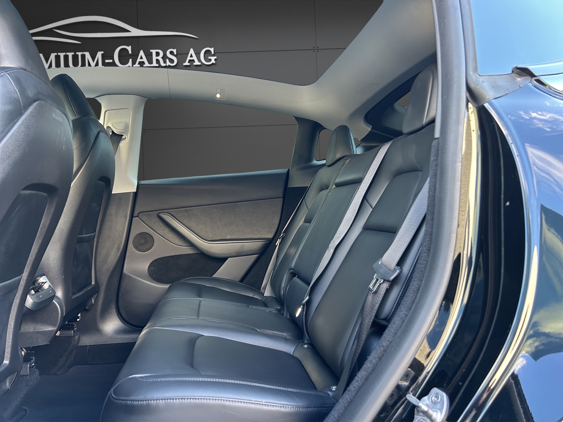 TESLA Model Y Performance / Enhanced Autopilot-image-6