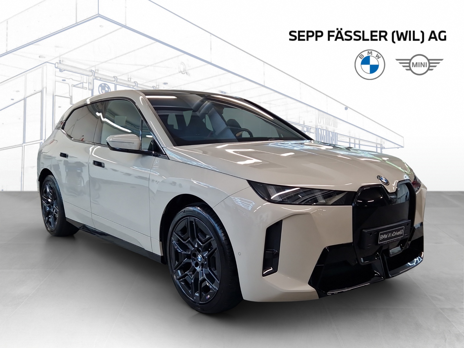 BMW iX xDrive60 M Sport Pro-showroom-element-2