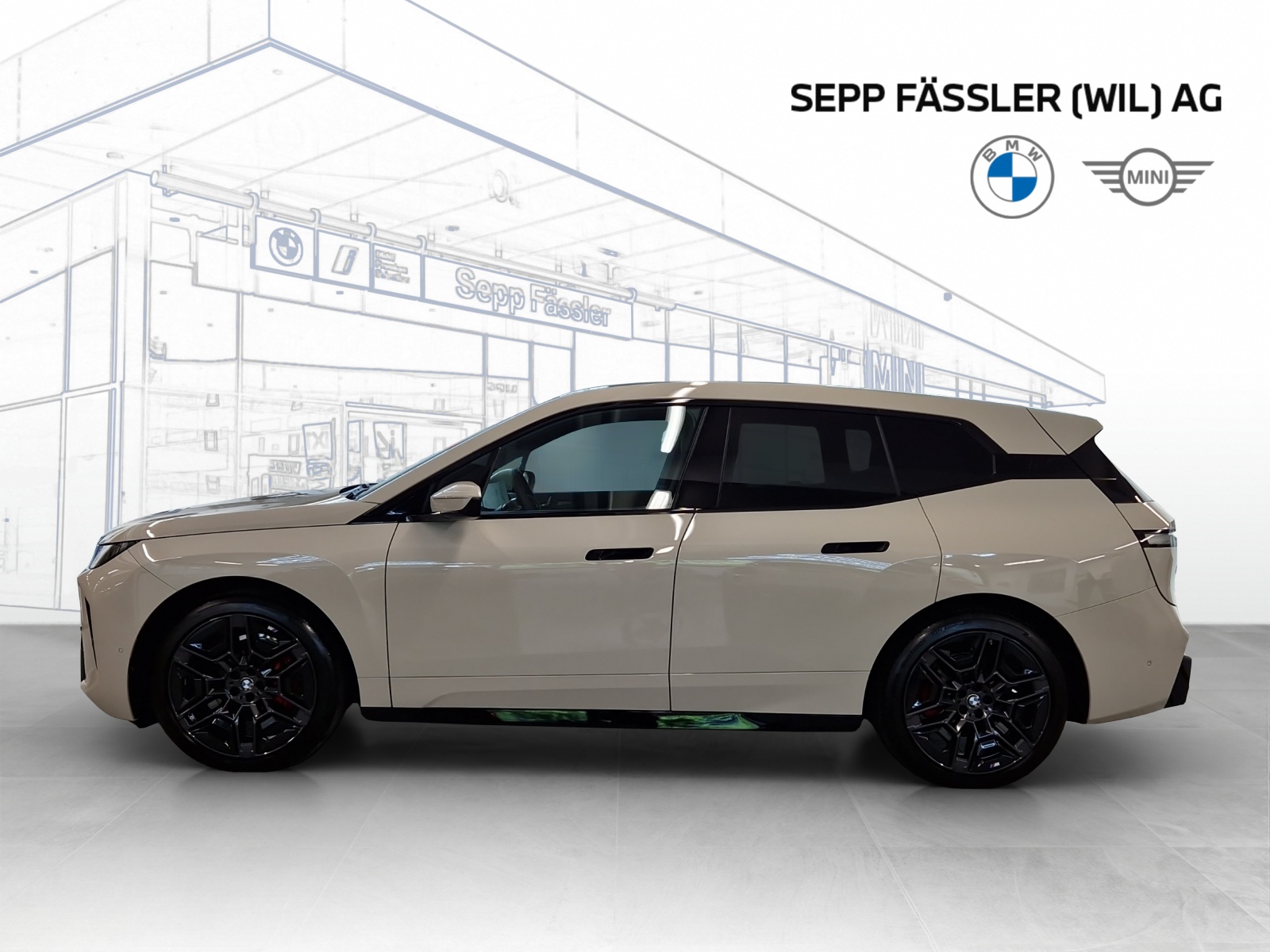 BMW iX xDrive60 M Sport Pro-image-23
