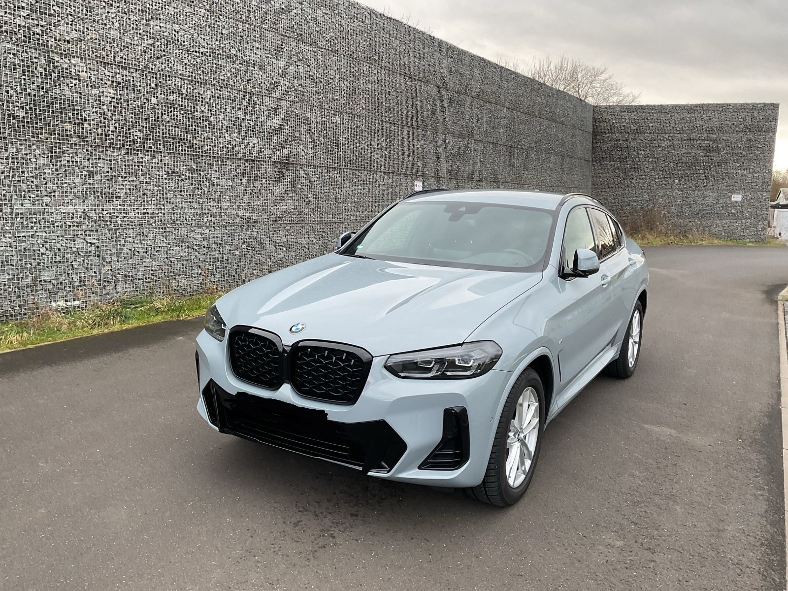 BMW X4 xDrive 48V 30d M Sport-showroom-element-1