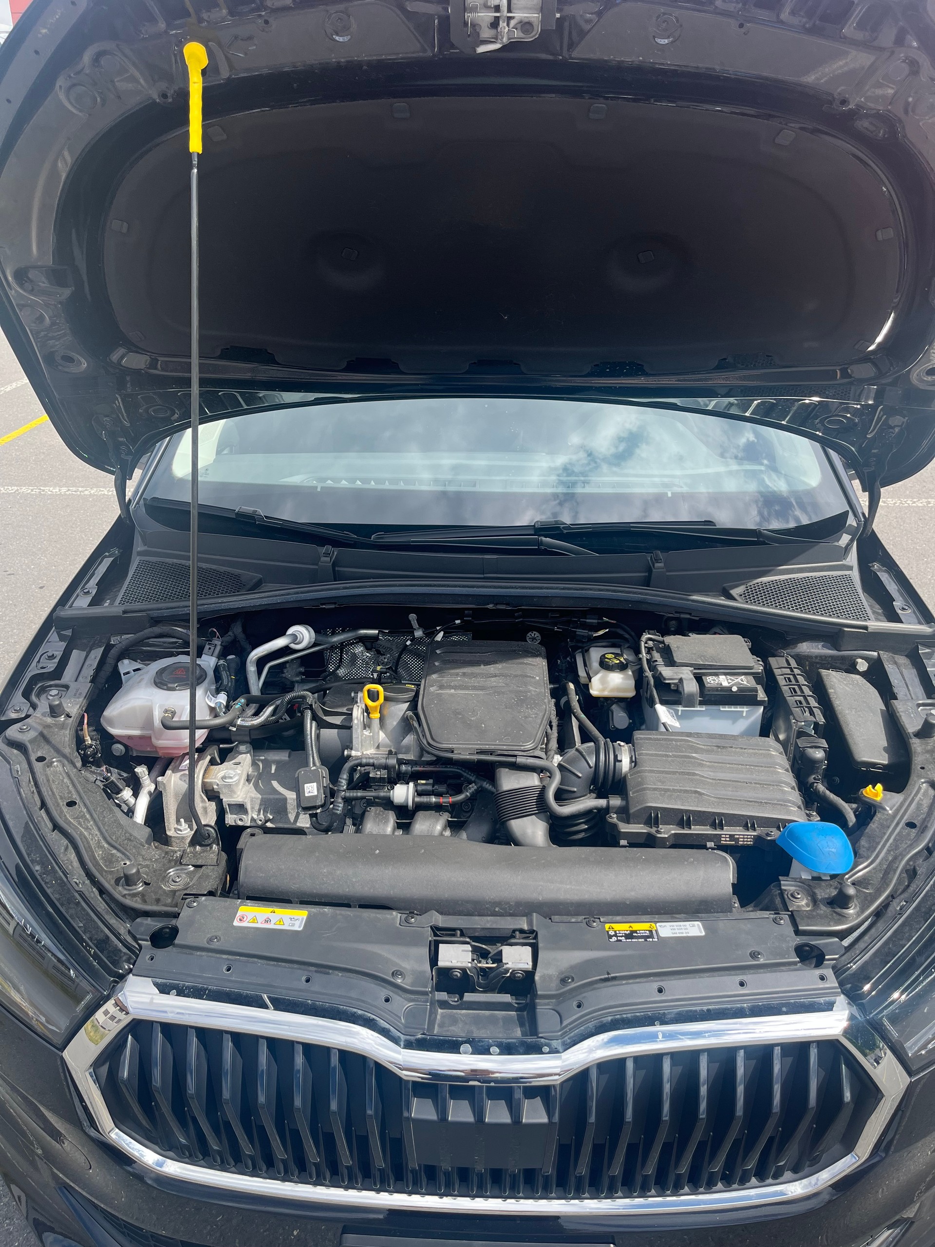 SKODA 1.0 MPI Essence-image-7
