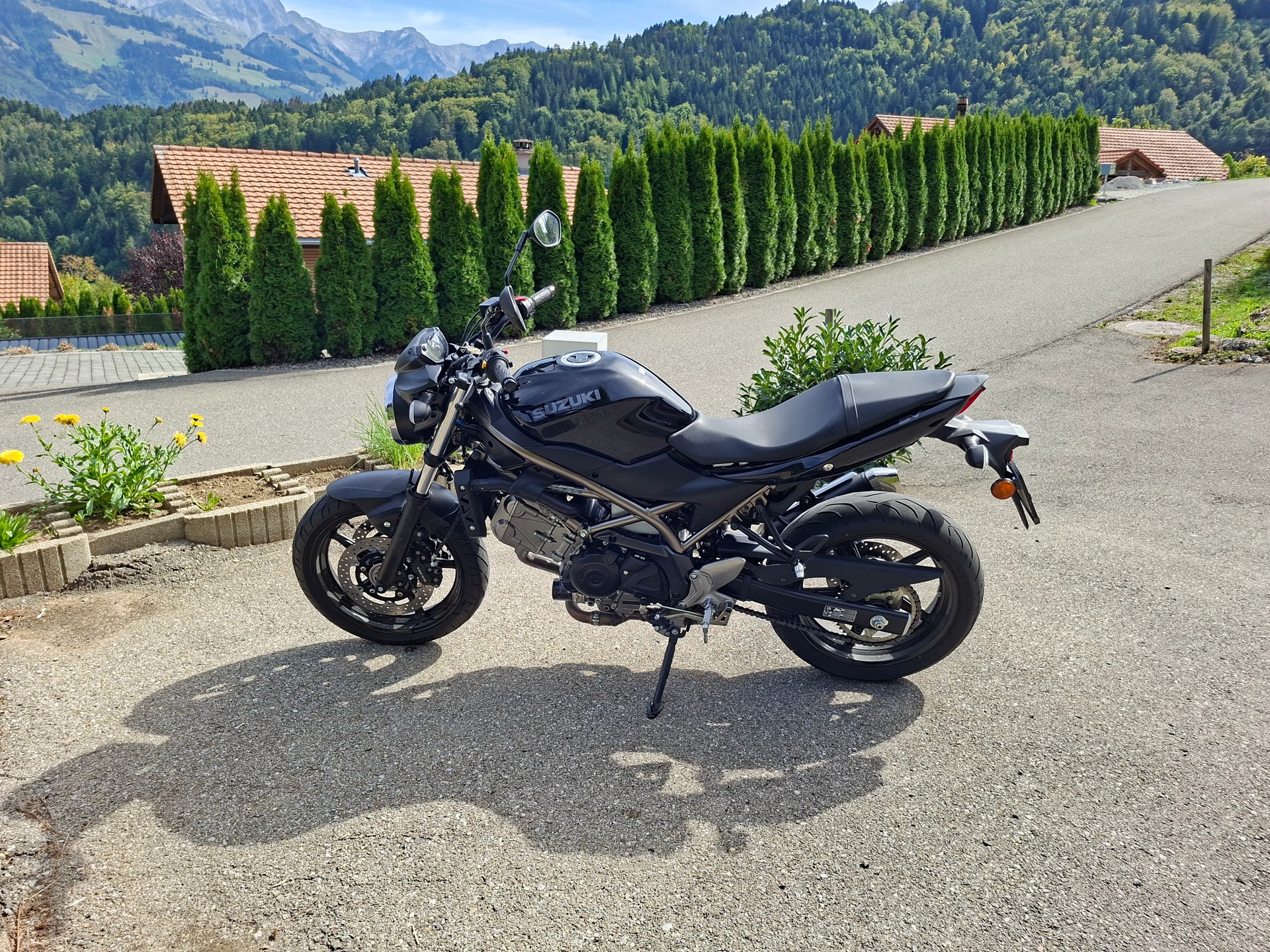 SUZUKI SV 650 (35kW)-image-1
