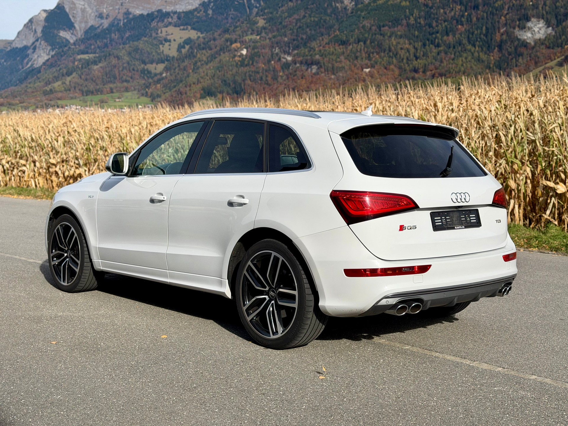 AUDI SQ5 3.0 TDI quattro tiptronic-showroom-element-2