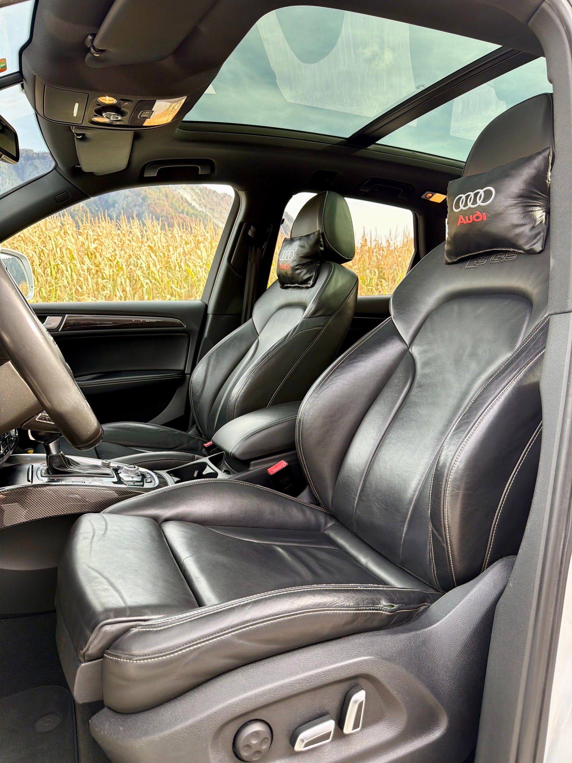 AUDI SQ5 3.0 TDI quattro tiptronic-image-10