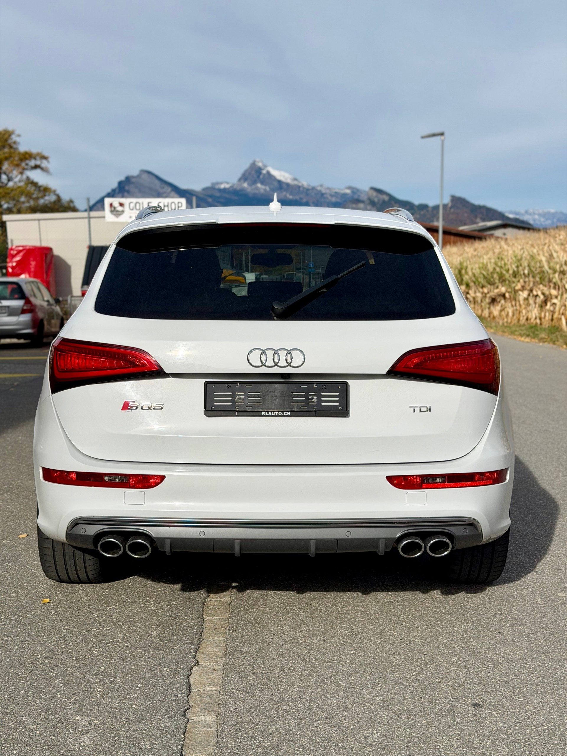 AUDI SQ5 3.0 TDI quattro tiptronic-showroom-element-3