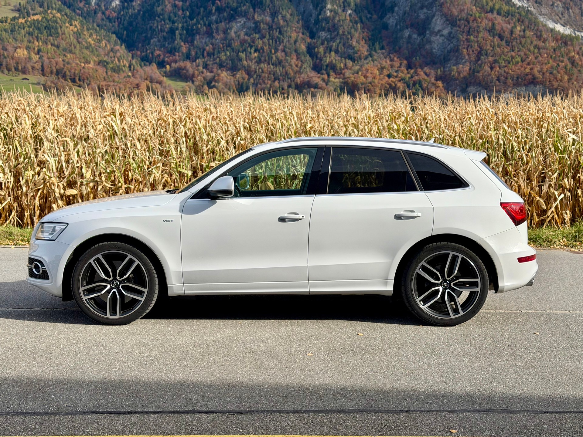 AUDI SQ5 3.0 TDI quattro tiptronic-showroom-element-1