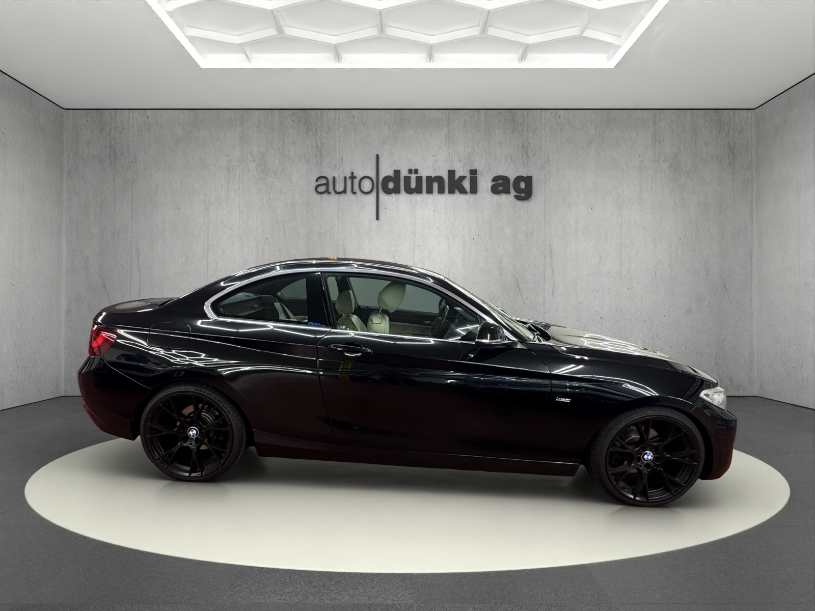BMW 220i Luxury Line Steptronic-showroom-element-3