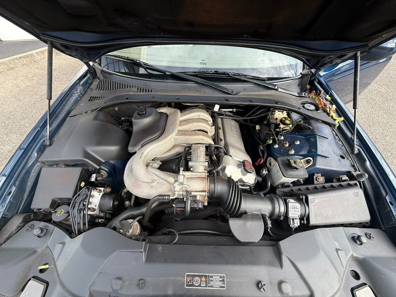 JAGUAR S-Type 3.0 V6 Executive-image-13