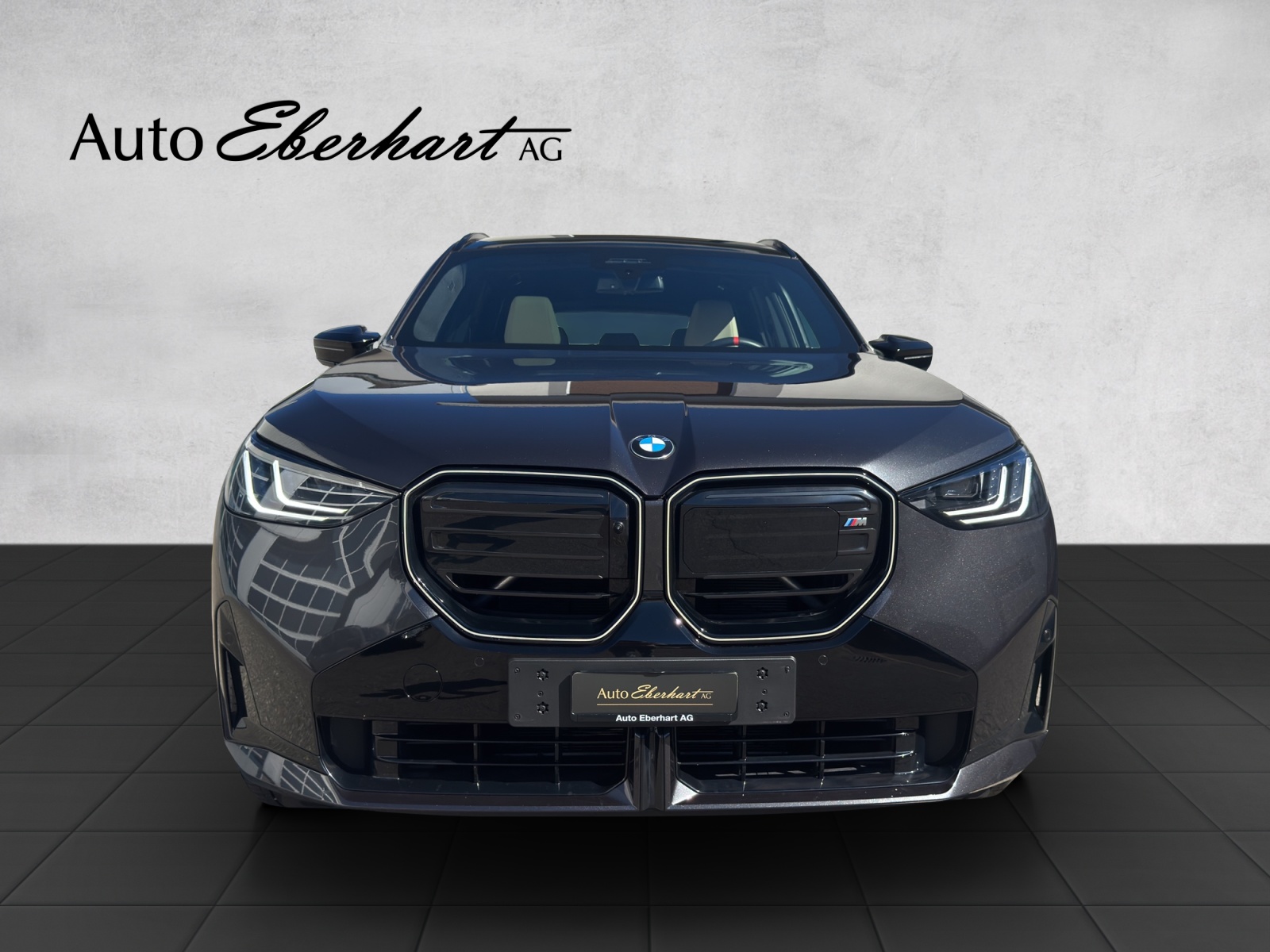 BMW X3 xDrive M50 48V M Sport Pro-showroom-element-3