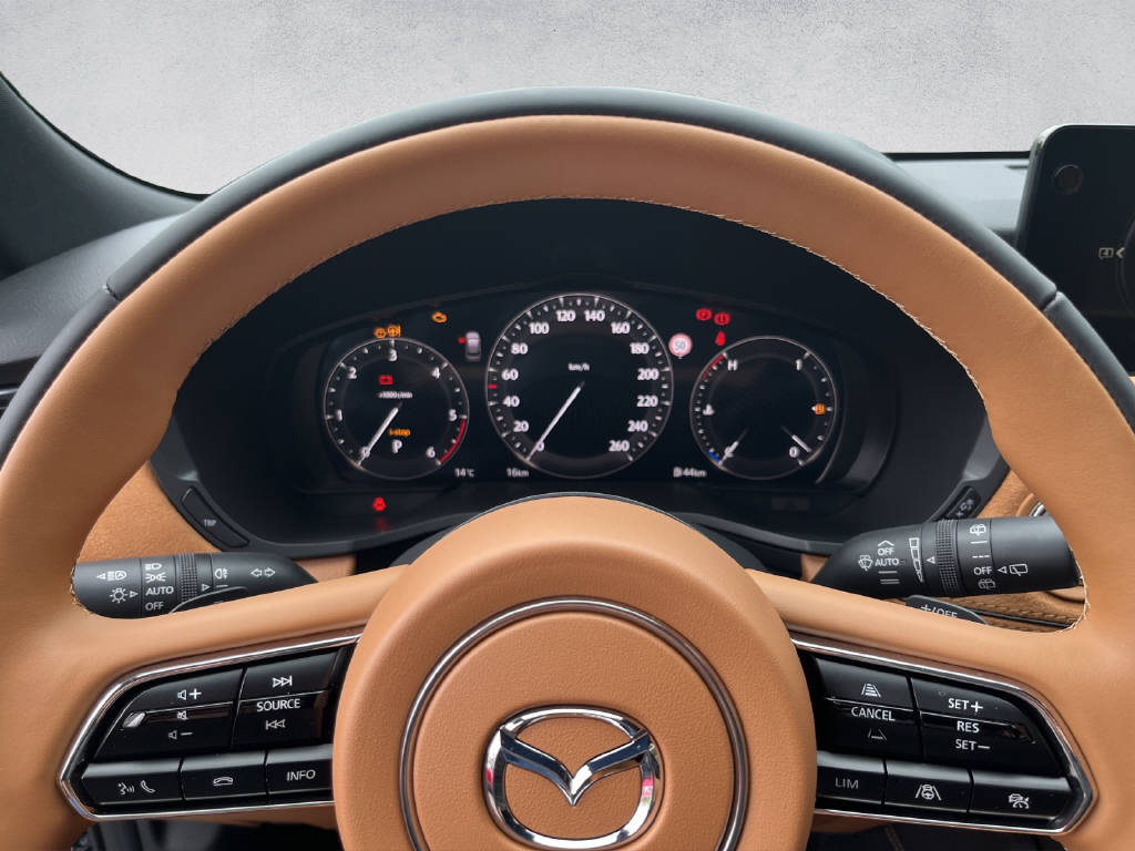 MAZDA CX-80 3.3 D Homura Plus 6 PLÄTZE-image-10