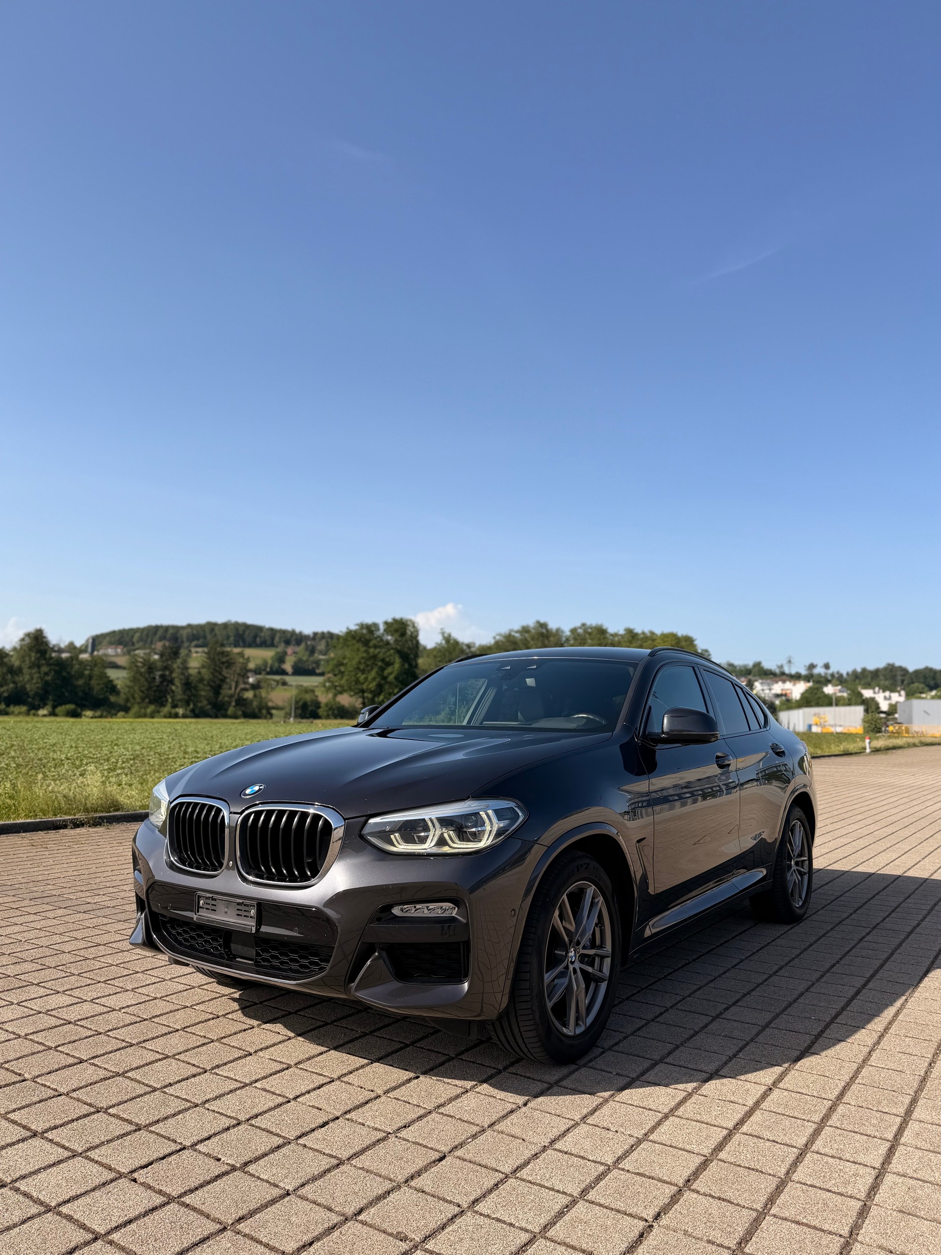 BMW X4 xDrive 30d M Sport X Steptronic