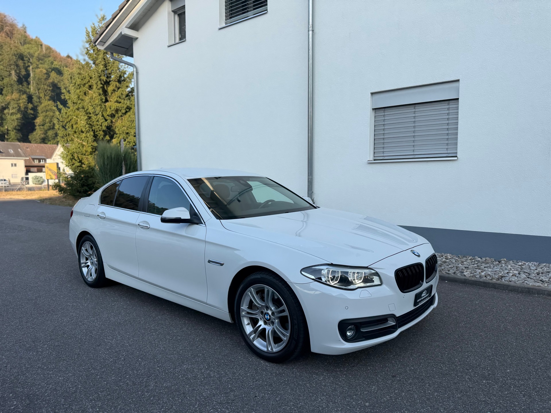 BMW 525d xDrive Steptronic-showroom-element-2