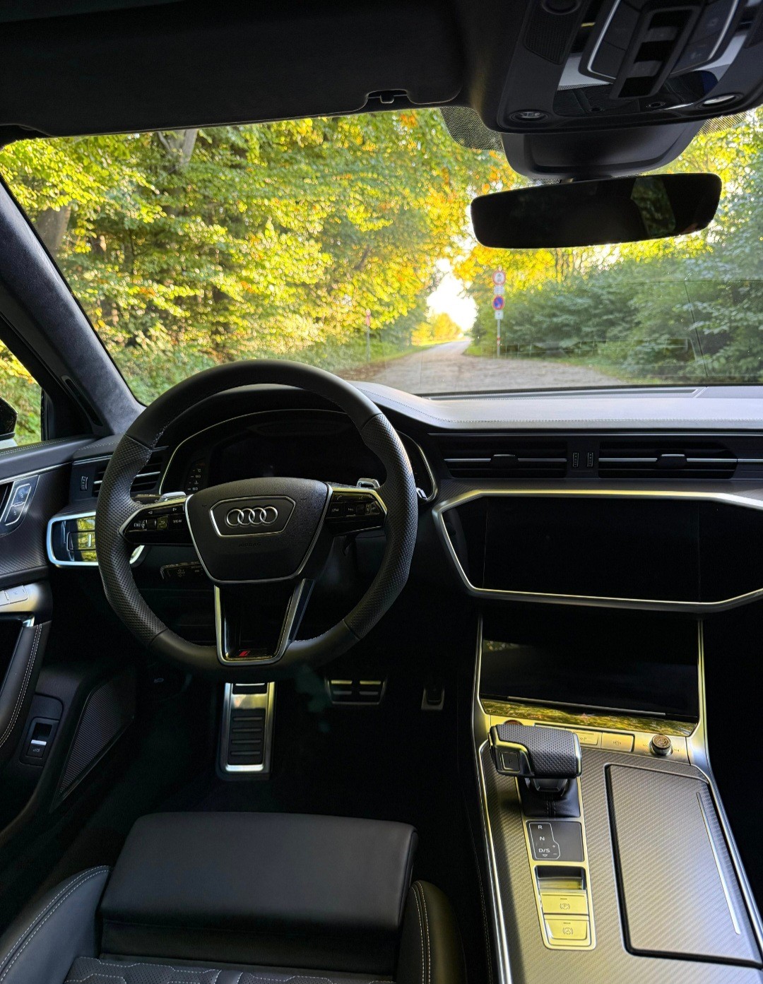 AUDI RS6 Avant 4.0 TFSI V8 Performance quattro-image-14