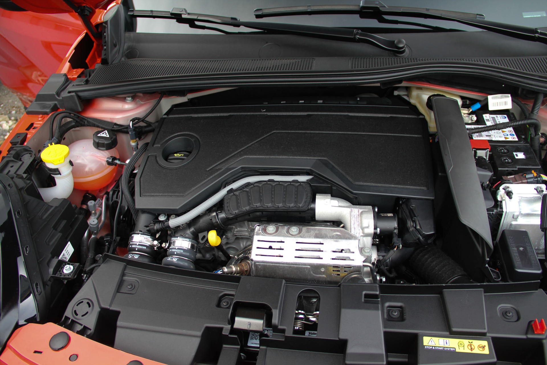 FIAT 600h MildHybrid La Prima ⭐⭐⭐⭐⭐-image-19