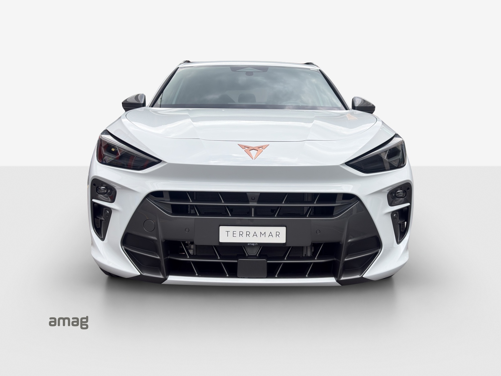 CUPRA CUPRA TERRAMAR e-HYBRID PRIME EDITION-image-6