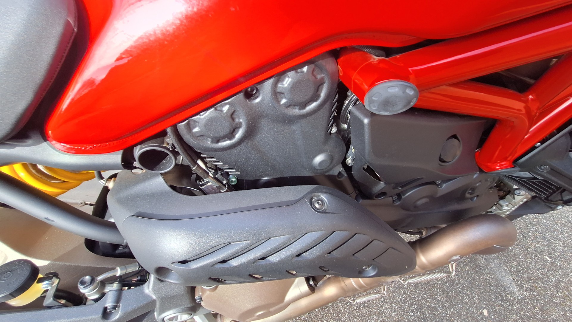 DUCATI Monster 821-image-8