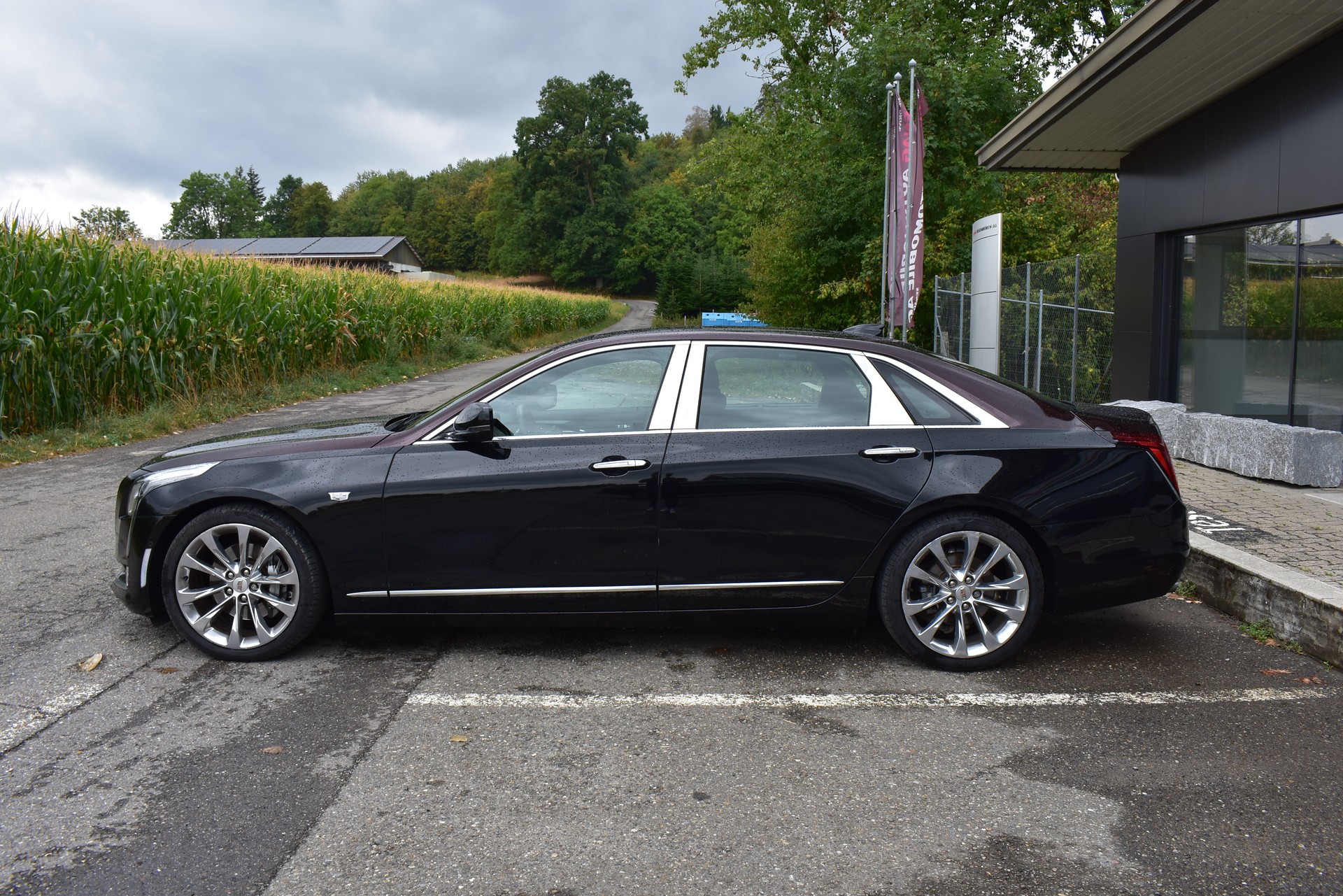 CADILLAC CT6 3.0 Twin Turbo Platinum-image-6