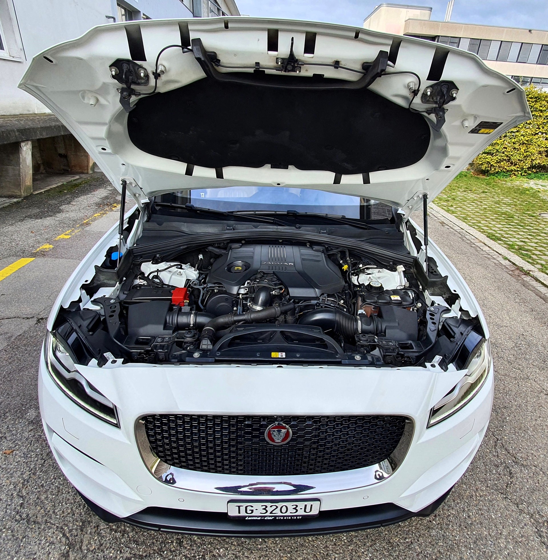 JAGUAR F-Pace 3.0 TD Portfolio AWD Automatik / 300 PS und 700 Nm-image-13