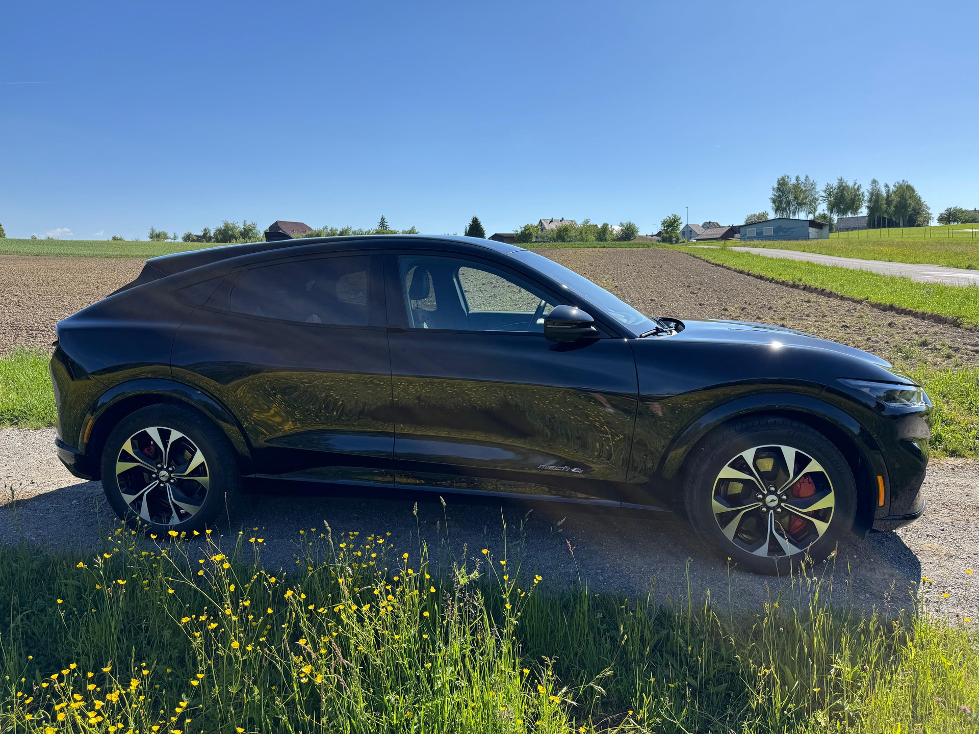 FORD Mustang MACH-E AWD 91 kWh-image-1