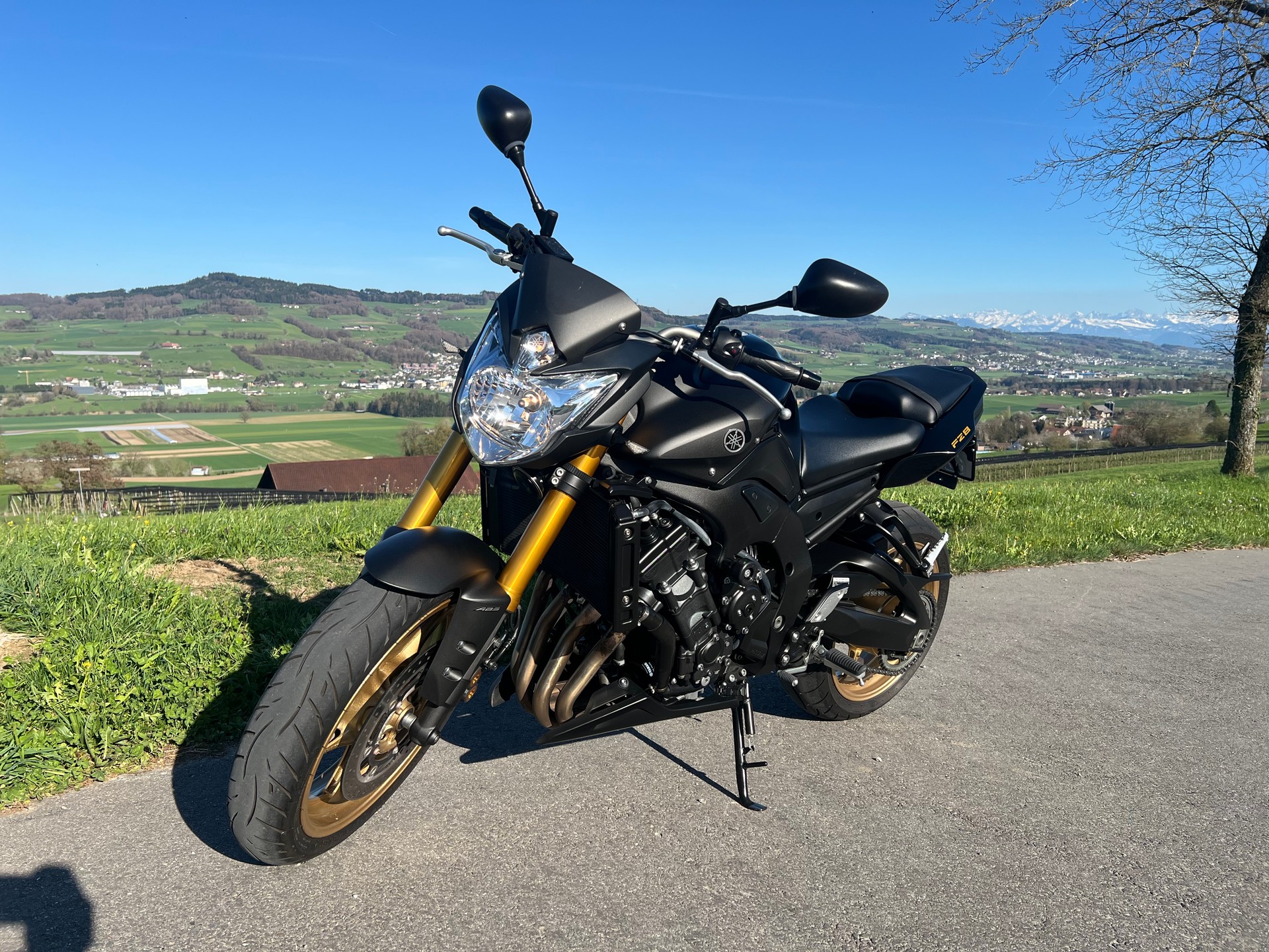 YAMAHA FZ8 N ABS-image-2