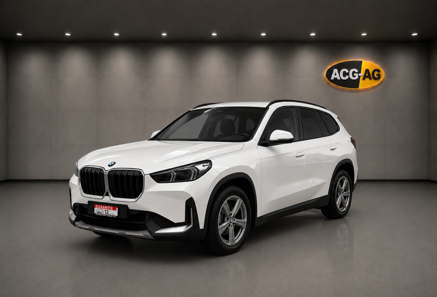 BMW X1 xDrive 20d 48V ** CH-Farhzeug ** Anh-Kupplung ** Driving Assistant Plus ** Innovation Paket **-showroom-element-2
