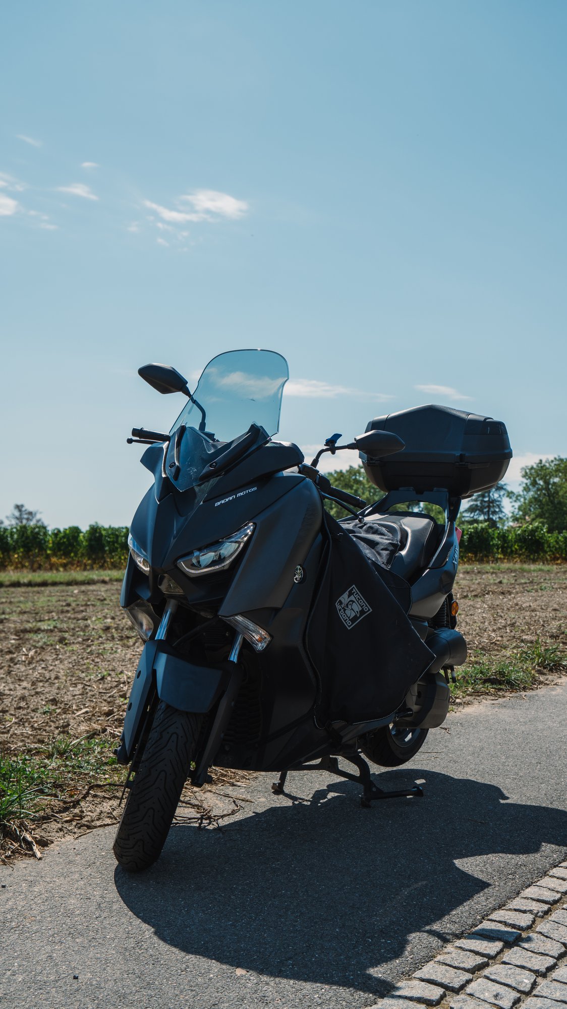 YAMAHA X-Max YP 125 Iron Max-image-0