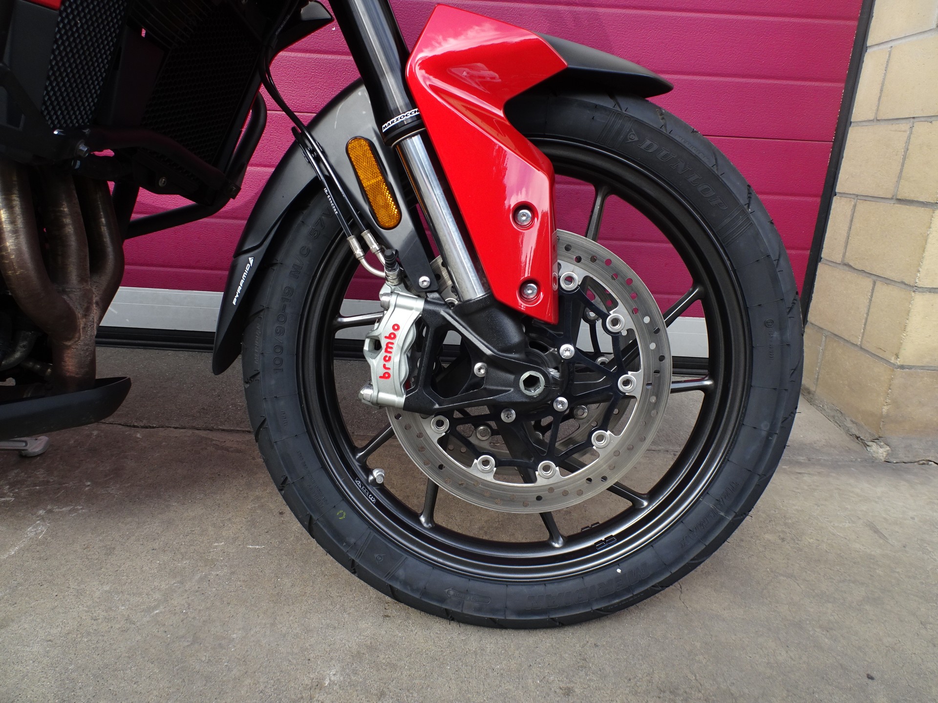 TRIUMPH Tiger 900 GT Pro-image-1