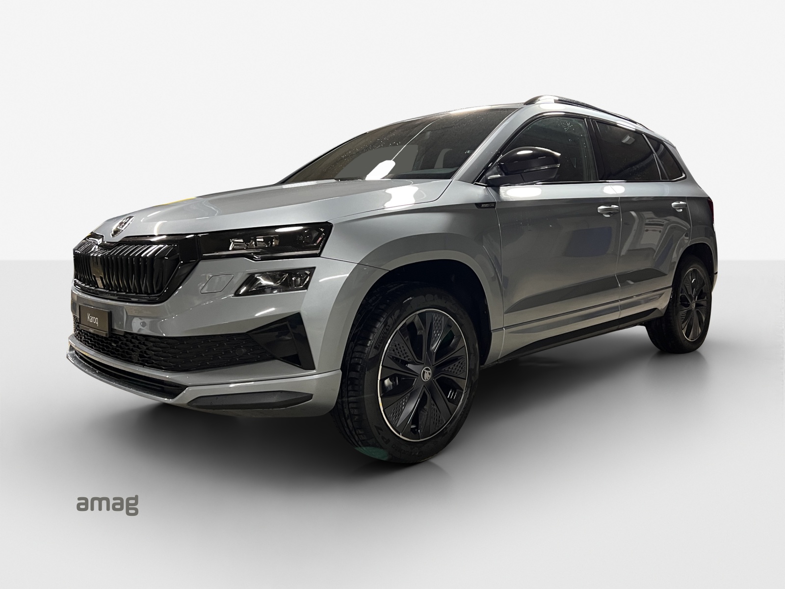SKODA Karoq 2.0 TSI Dynamic Limited Edition 4x4 DSG