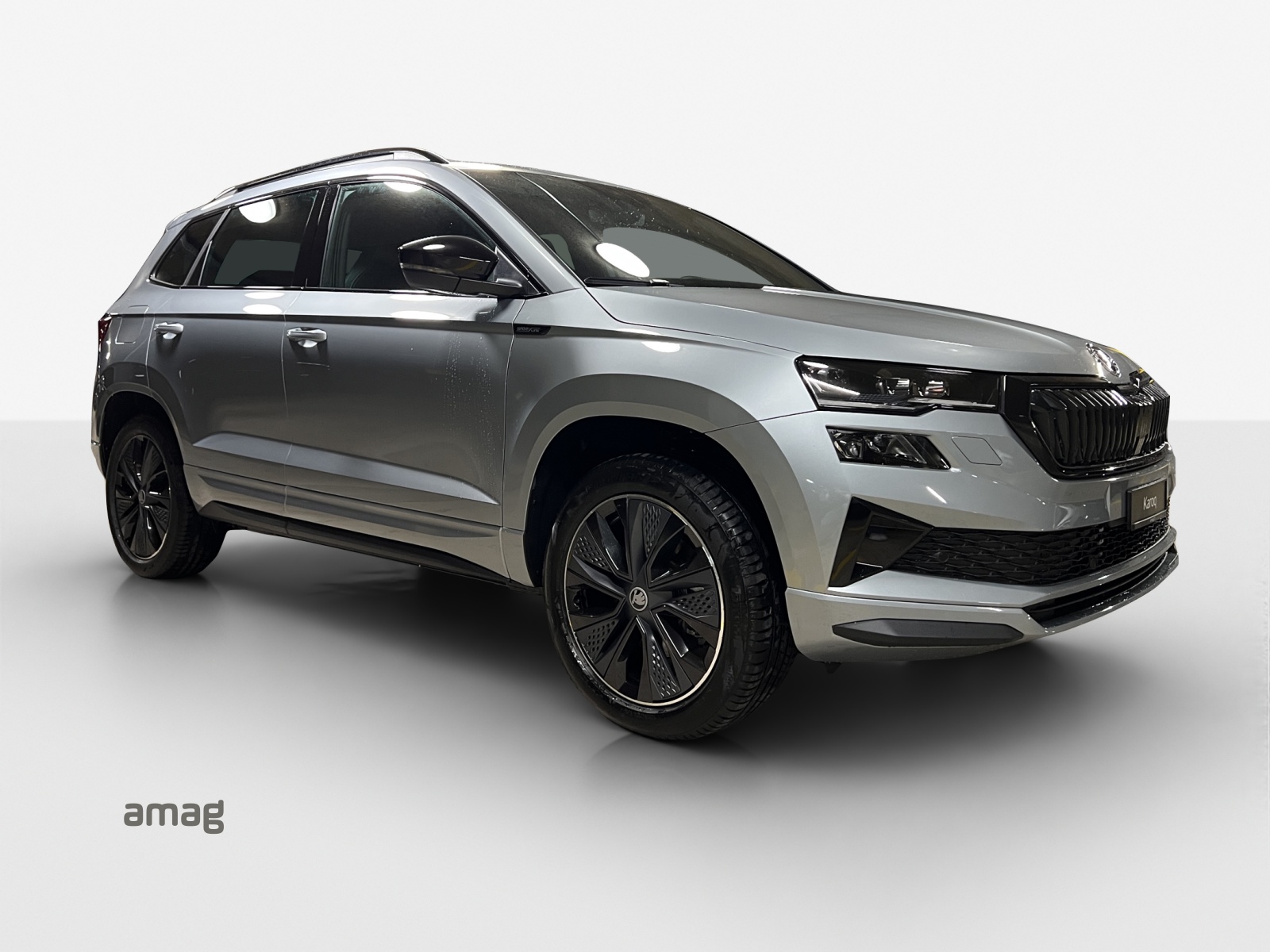 SKODA Karoq 2.0 TSI Dynamic Limited Edition 4x4 DSG-image-5