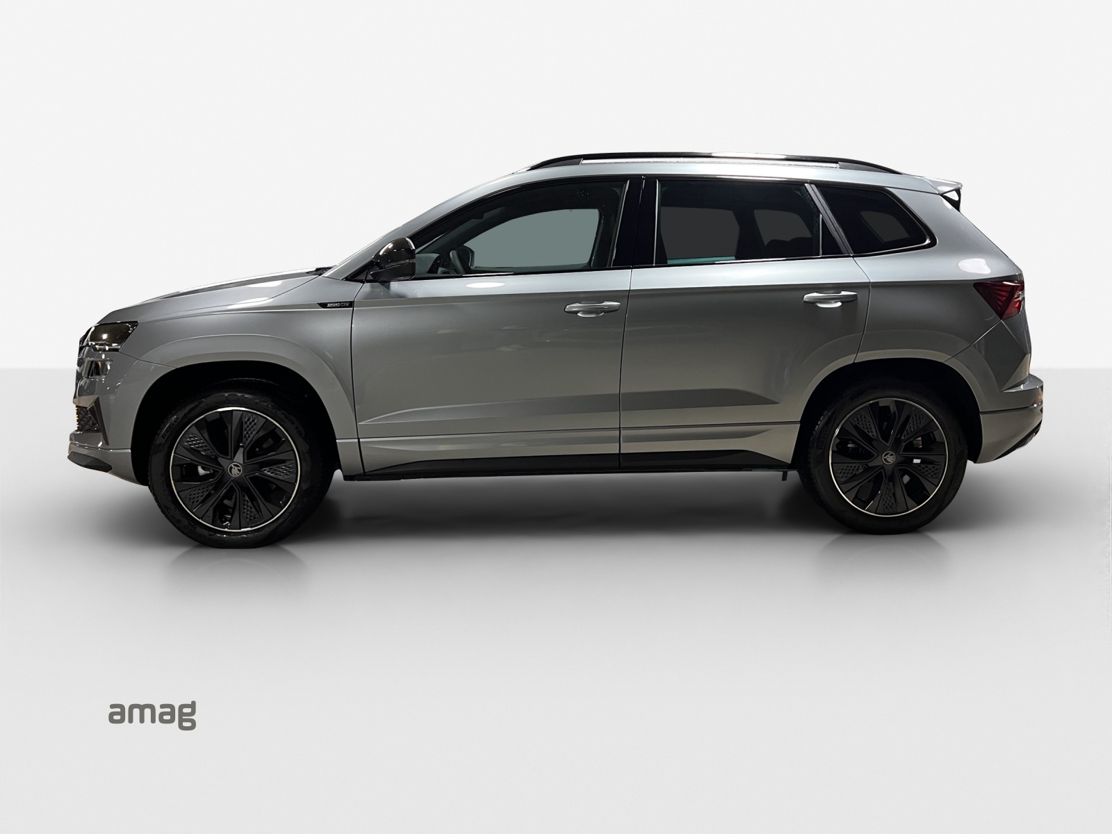 SKODA Karoq 2.0 TSI Dynamic Limited Edition 4x4 DSG-showroom-element-1