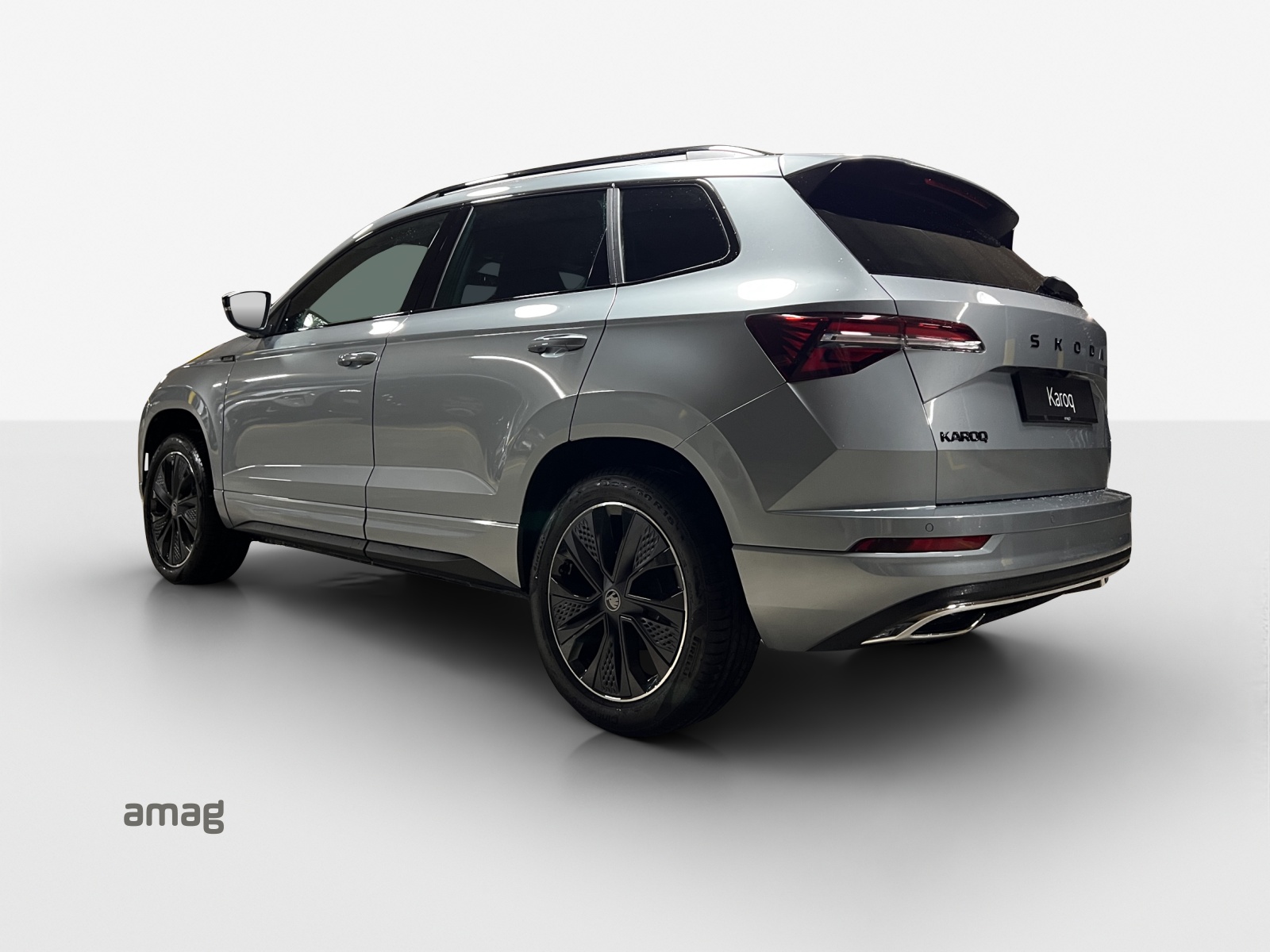 SKODA Karoq 2.0 TSI Dynamic Limited Edition 4x4 DSG-showroom-element-2